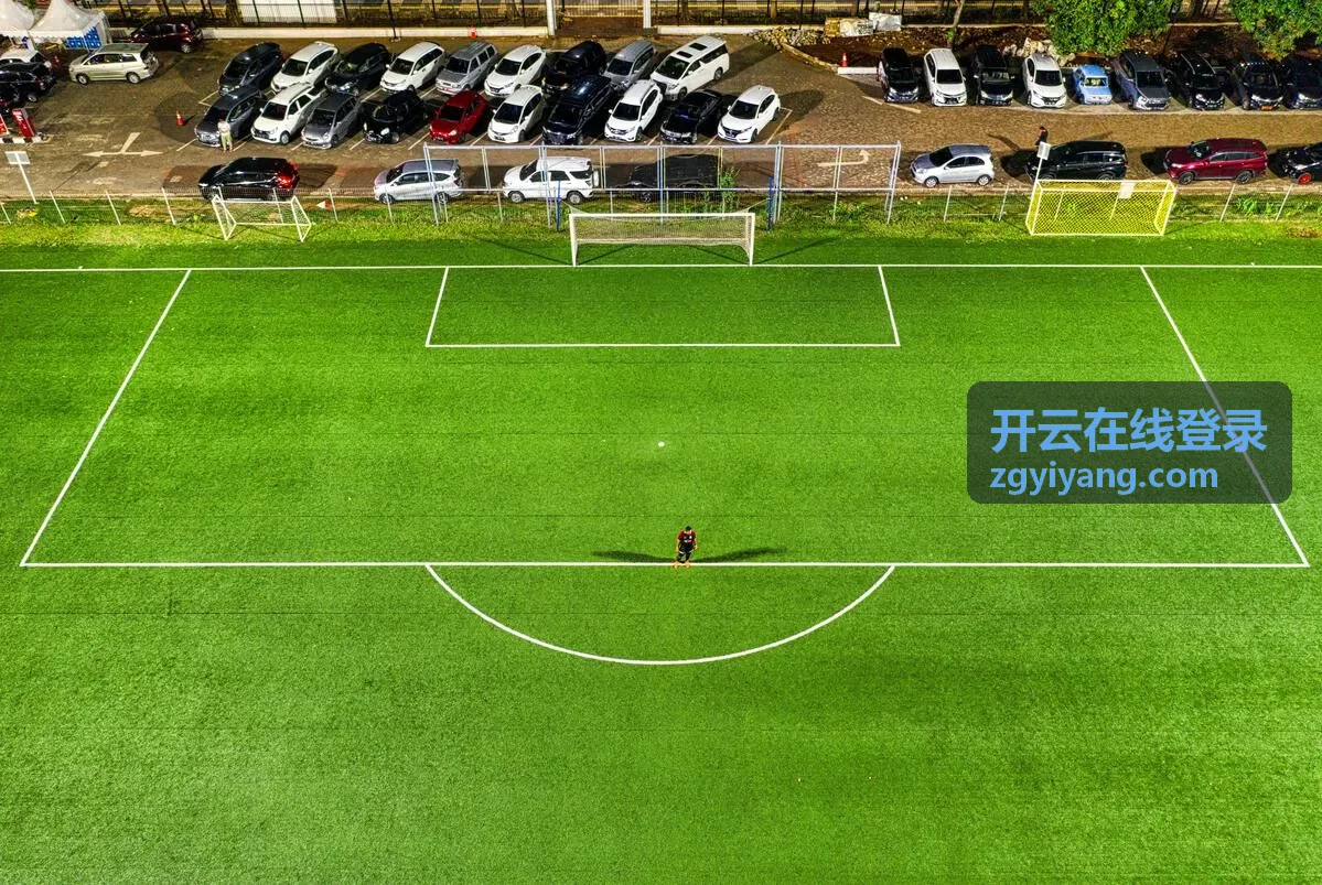开云在线登录入口指南页面配图