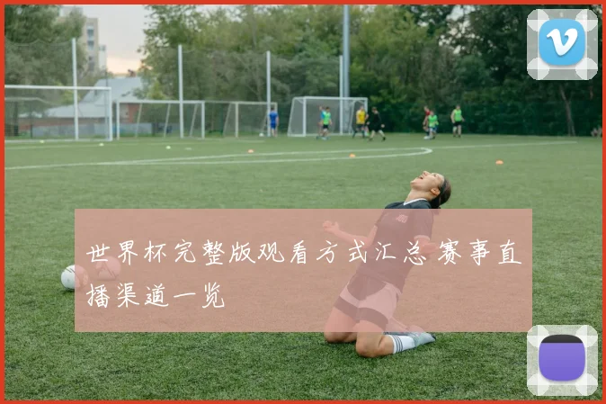 世界杯完整版观看方式汇总 赛事直播渠道一览