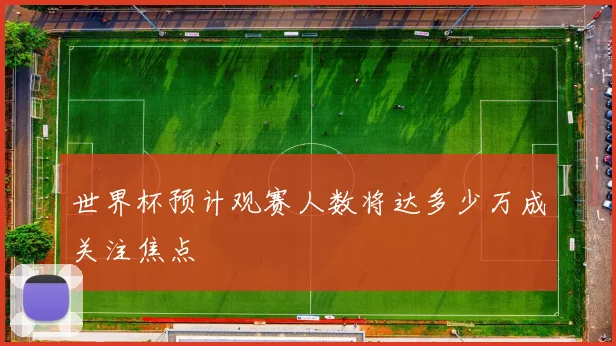世界杯预计观赛人数将达多少万成关注焦点
