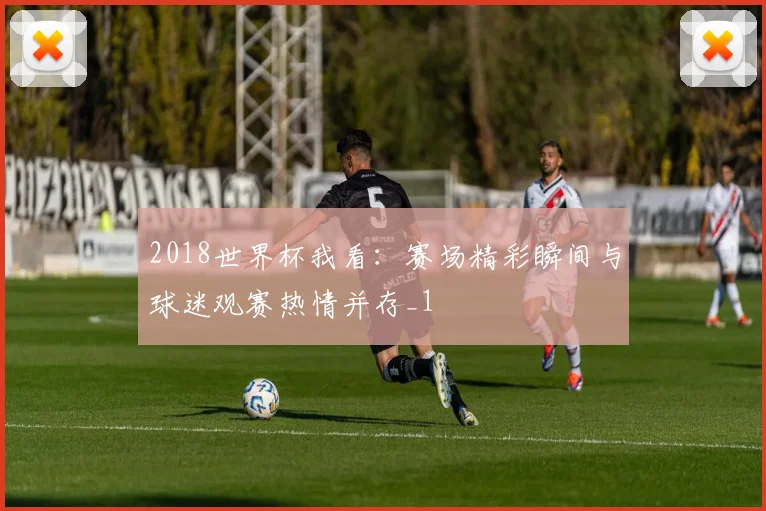 2018世界杯我看:赛场精彩瞬间与球迷观赛热情并存_1