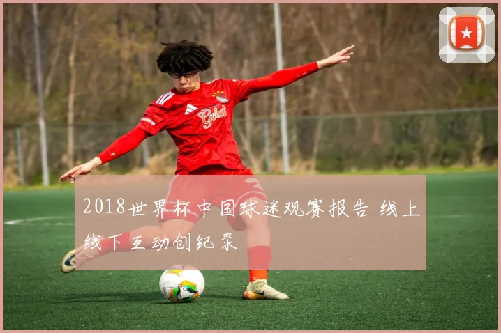 2018世界杯中国球迷观赛报告 线上线下互动创纪录