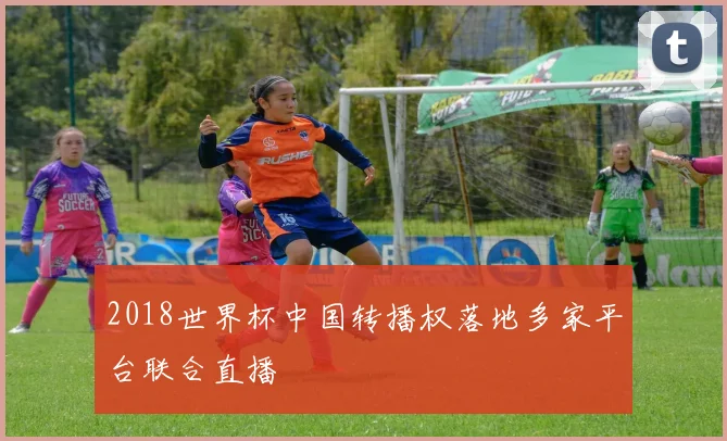 2018世界杯中国转播权落地多家平台联合直播