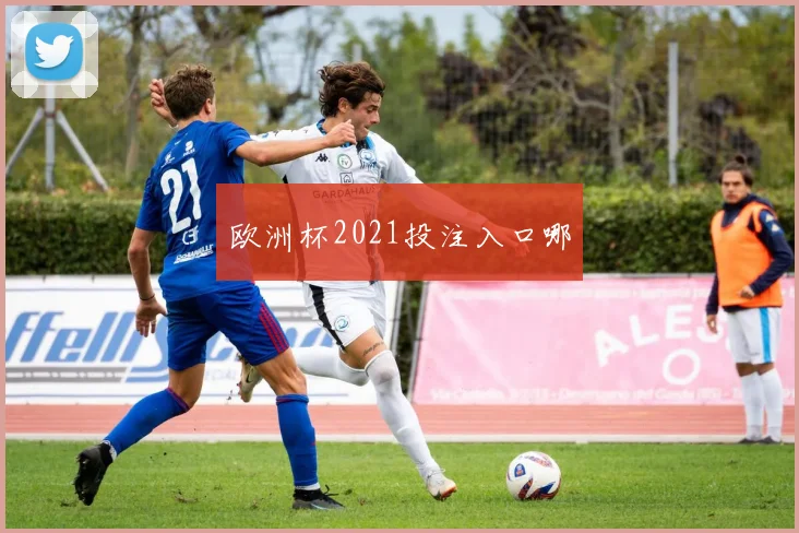欧洲杯2021投注入口哪