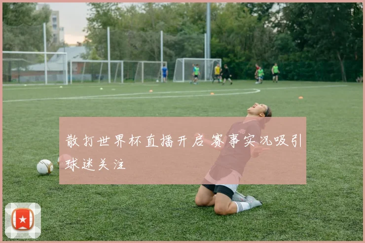 散打世界杯直播开启 赛事实况吸引球迷关注