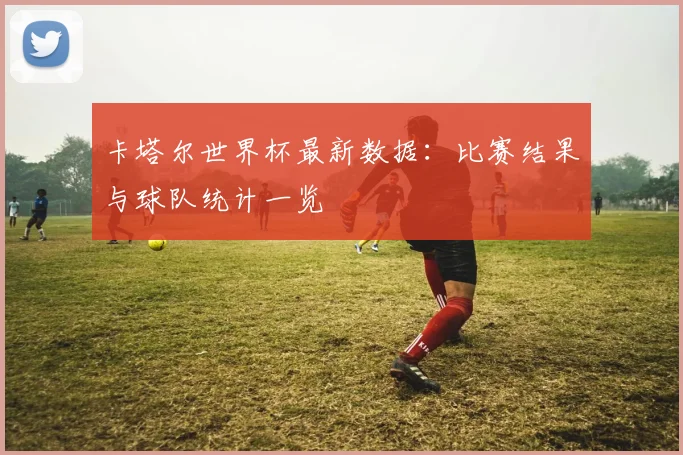 卡塔尔世界杯最新数据：比赛结果与球队统计一览