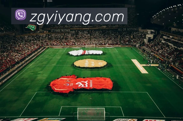 App Interface Preview